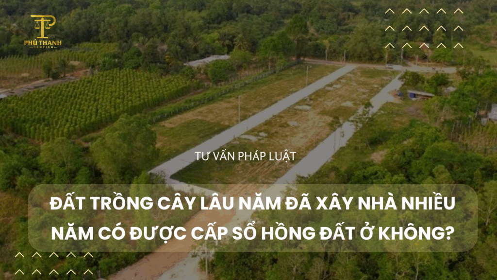 ĐẤT TRỒNG CÂY LÂU NĂM ĐÃ XÂY NHÀ NHIỀU NĂM CÓ ĐƯỢC CẤP SỔ ĐỎ ĐẤT Ở KHÔNG?