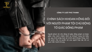 Chính sách khoan hồng đối với người phạm tội chủ động tố giác đồng phạm