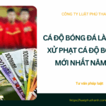 Cá độ bóng đá là gì? Mức xử phạt cá độ bóng đá mới nhất năm 2026